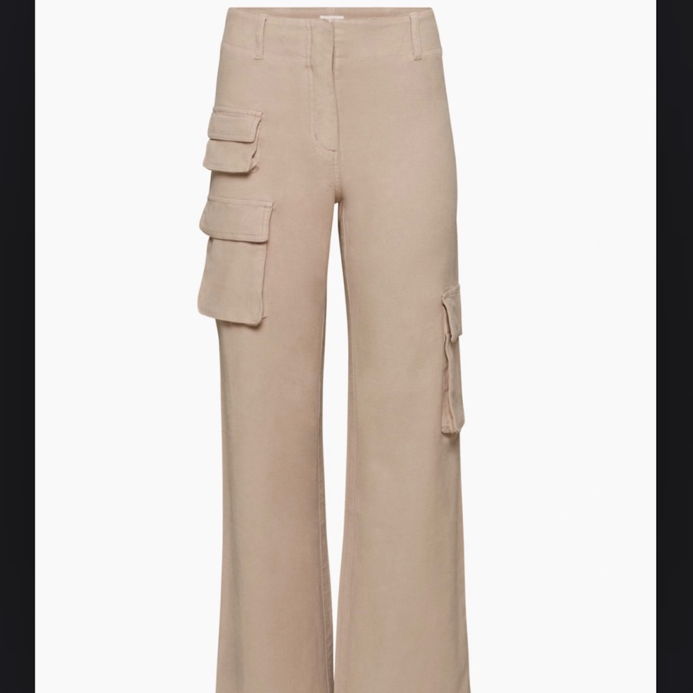 Aritzia Wilfred Free Picture Cargo Pant